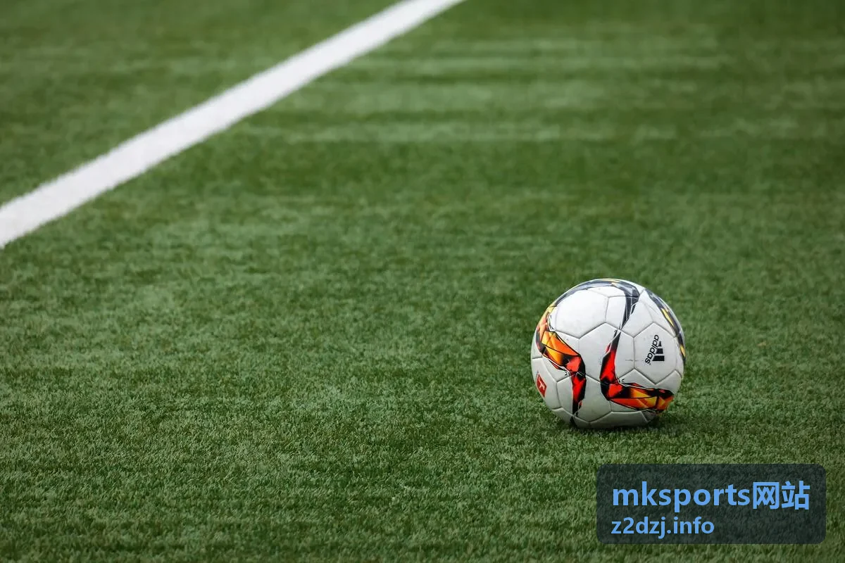 mksports网站开幕仪式主持人林嘉禾