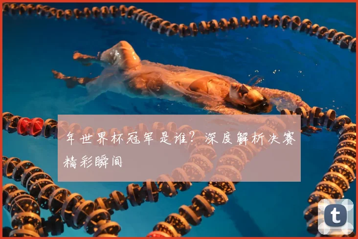 年世界杯冠军是谁？深度解析决赛精彩瞬间