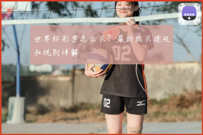 世界杯彩票怎么买？最新购买途径和规则详解