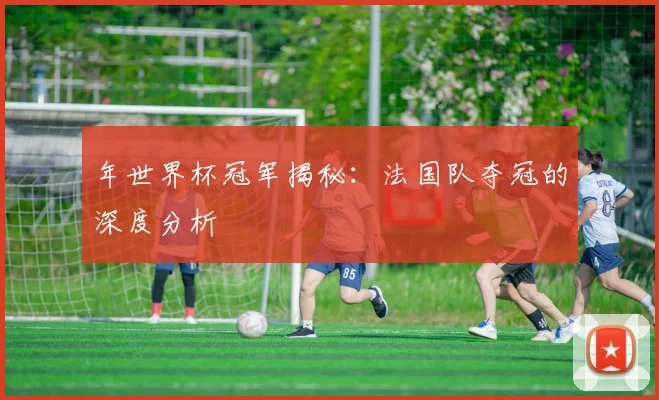 年世界杯冠军揭秘：法国队夺冠的深度分析