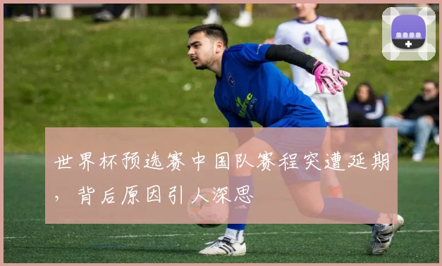 世界杯预选赛中国队赛程突遭延期，背后原因引人深思