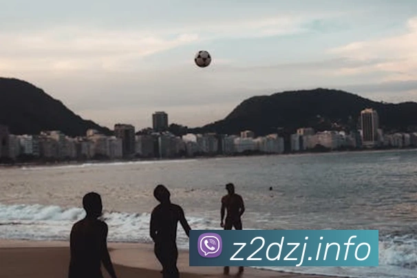 星空体育官网平台生态图